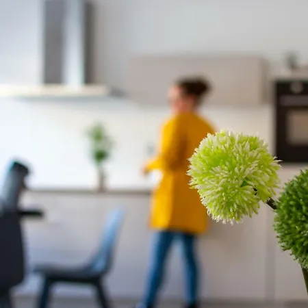 Apartament Boven De Ijsjes *